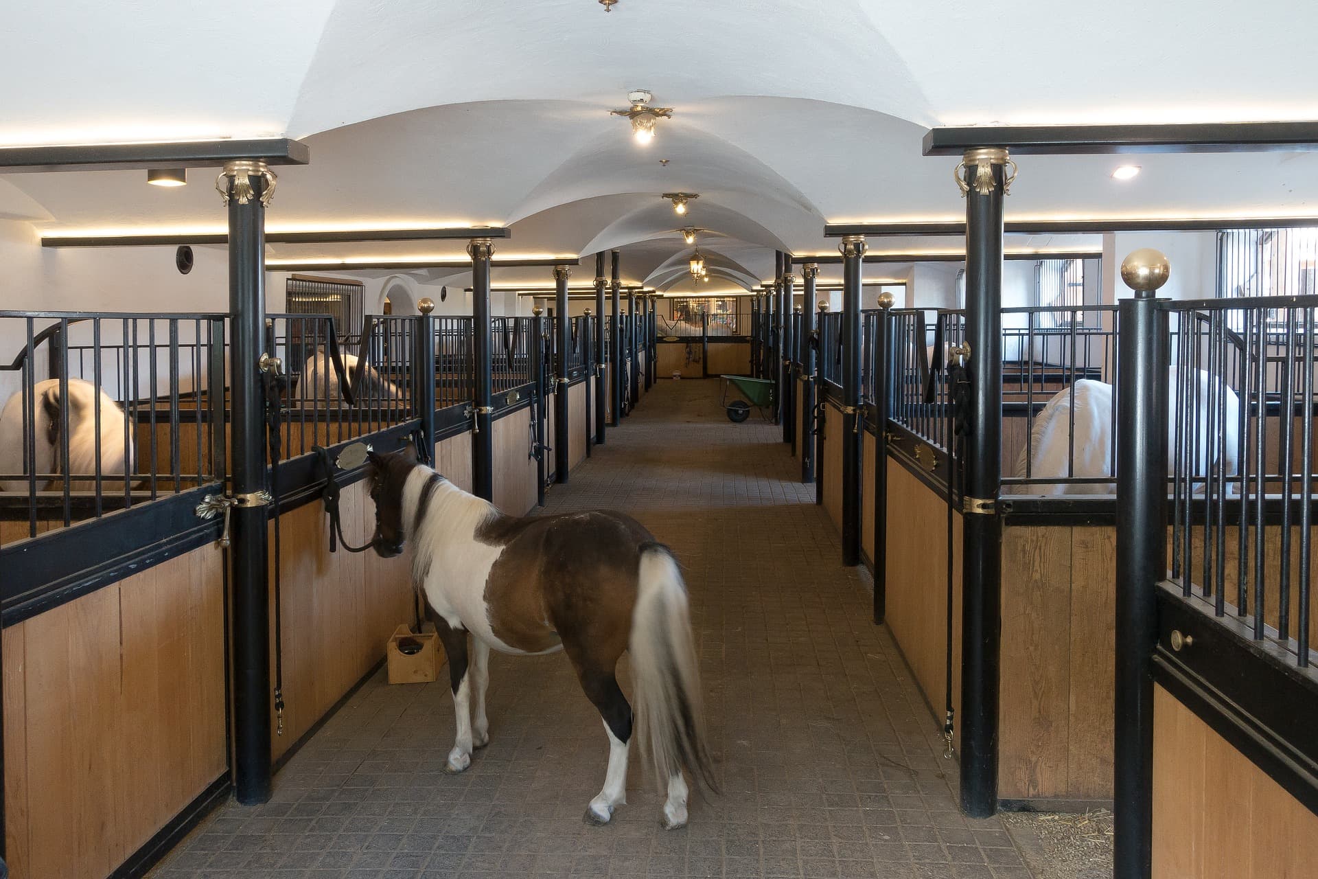 Indoor stable lined with stalls